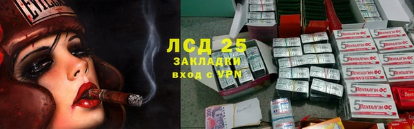 ПСИЛОЦИБИНОВЫЕ ГРИБЫ Дмитров
