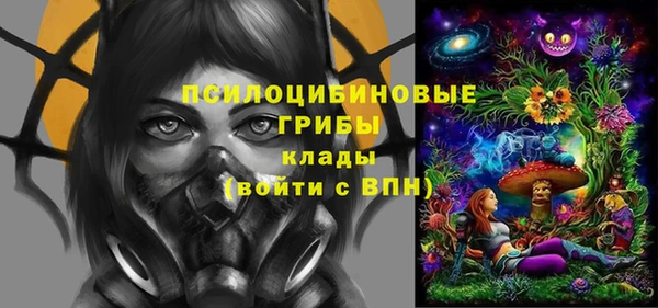 ПСИЛОЦИБИНОВЫЕ ГРИБЫ Дмитров