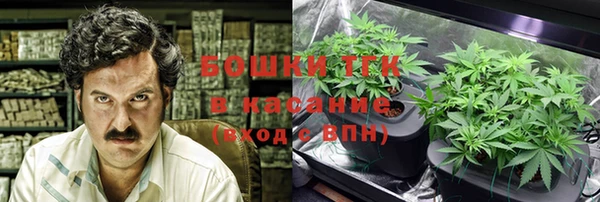 ПСИЛОЦИБИНОВЫЕ ГРИБЫ Дмитров